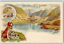 Bourg-St-Pierre 1907 Hospiz auf dem Grossen St. Bernhard Hunde Bernardiener