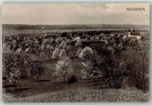 4144 Arlesheim - Baumblüte