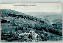 4418 Reigoldswil 1913 - Pension Eichenhof