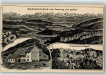 Ramiswil 1914 Gasthaus Alpen vom Passwang gesehen Aussichtspunkt Signal Kühe Pferde