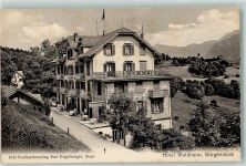 Bürgenstock Hotel Waldheim