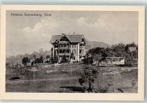 Wald ZH 1920 Pension Sonnenberg