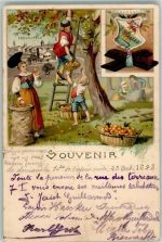 8500 Frauenfeld 1898 Gebrauchsspuren Apfelernte Trachten Wappen Lithographie