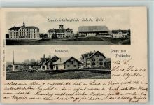Zollikofen 1901 Molkerei, Landwirtschaft Schule Rüti, AK