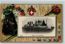 Hinwil 1900 Passepartout Rucksack Edelweiss Aussichtsturm Bachtel