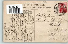 Zofingen 1910 Passepartout Efeublatt Schulhaus