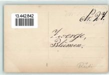 Rüti ZH Zwerge Blumen Nr. 27