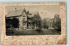 Wädenswil 1906 Villa Raibach