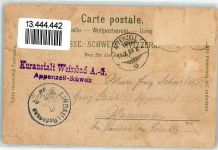 Weissbad 1899 Gemse