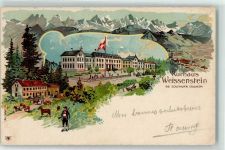 Weissenstein b. Solothurn 1902 Kurhaus Kühe Pferd Tracht