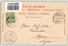 Hinwil 1899 Bachtel Aussichtsturm