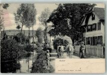 Suhr 1908 Ochsenkarren
