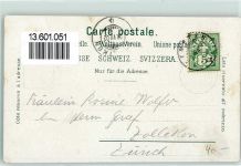 Wetzikon ZH 1902 Zürcher Kantonal-Turnfest Eichenlaub