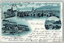 Aegerisee 1901 Waldheim Sanatorium für Kinder von Dr. Hürlimann Aegerisee vom Kindersanatorium aus
