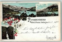 Ringgenberg BE 1897 Rothorn Brienz Giessbach Hotel & Pension Seeburg
