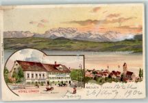 Meilen 1904 Hotel Löwen Geschw. Brändli