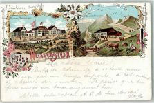Weissenstein b. Solothurn 1902 Kurhaus Sennhütte Kühe