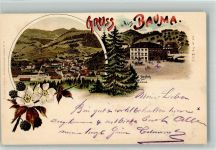 Bauma 1905 Gasthaus Zur Tanne Lithographie Verlag Künzli