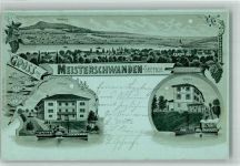 Meisterschwanden 1903 Raddampfer Seerose Delphin Gasthaus Lithographie/Mondschein