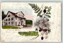Zofingen 1909 Römerbad Lithographie Farn
