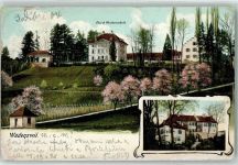 Wädenswil 1904 - wäde Obst u. Weinbauschule