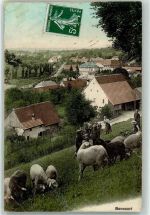 Boncourt 1908 Schafe