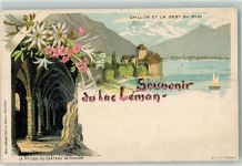 Chillon Dent du Midi Lac Leman la Prison du Chateau