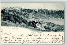 Chardonne 1907 Hotel Belvedere Beaumaroche