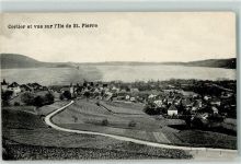 Erlach 1907 Cerlier et vue sur I`Ile de St. Pierre
