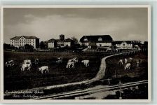 Rütti Landwirtschaftliche Schule Rindvieh Bahnlinie