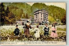Les Avants 1907 le cueillette des Narcisses sur Montreux