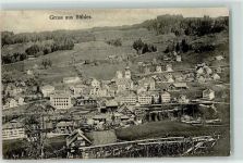 Bühler 1908