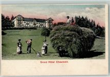 Chaumont 1906 Grand Hotel Landwirtschaft Heuwagen Frau Mann Kinder