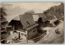 Glion Ferme de Valmont Kühe
