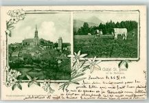 Châtel-St-Denis 1902 et le Moleson Kühe