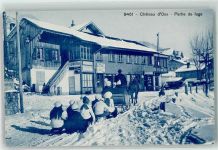 Château-d´Oex Winter Pferdeschlitten Schlitten