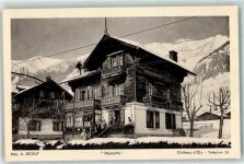 Château-d´Oex Winter Myosotis