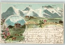 Wilderswil Hotel Wengernalp