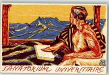 sign Bille Edm. Sanatorium Universitaire Buch lesen