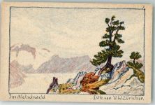 Riederalp sign. Züricher, V.W. Aletschwald