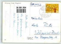 Brissago 1963 Lago Maggiore