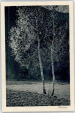 Schiers