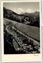 Schiers