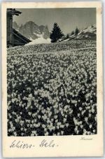 Schiers