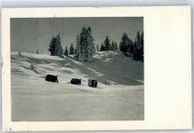 Schiers