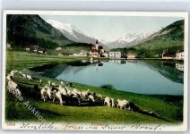 Tarasp 1907, Kirche, See, Schaafherde, Fontana