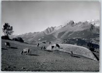 7134 Obersaxen Meierhof - Breigelser Hörner