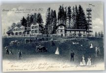 Bachtel 1904, Aussichtsturm, Ochsenkarren, Kühe