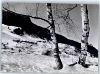 Obersaxen Winter