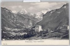 Wilderswil Hotel Schönbühl